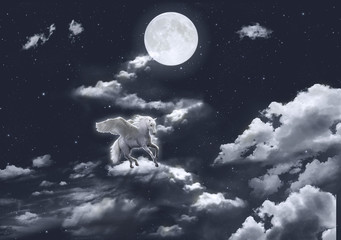 Obraz na płótnie Canvas Unicorn in the sky riding on the clouds in a starry night