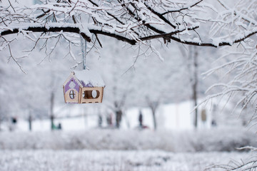 Nice small wooden house with a window for bird's feeding hangs on a tree branch and winter forest...