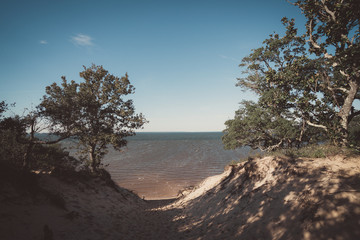 Fototapeta na wymiar Gulf Islands Shore