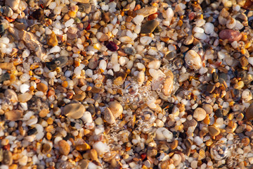 sea pebbles colored granite on the beach background stones. The shore of the beach with sand and pebbles washed by the waves of the sea.