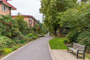 Obraz premium Bench in Park with green background.