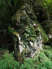 大岩