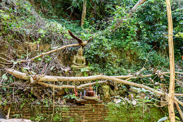 Fototapeta premium Small Buddha Statue in the Woods at the Buddhist Wat Palad Pha Lat Wat Sakithaka Forest Temple in Chiang Mai Province Thailand