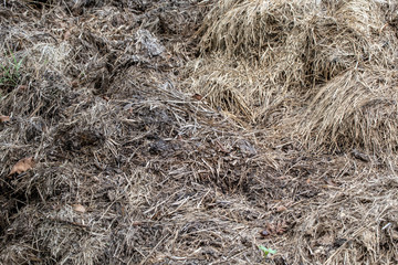 With much of Missouri being farm country, piles of straw and manure are no surprise. This one makes an interesting background or texture concept with bokeh effect.