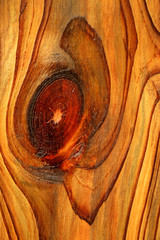 wood texture