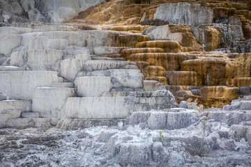Mammoth terraces of Yellowstone, Wyoming, USA.