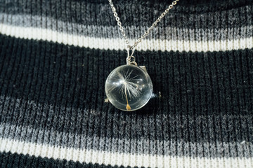 Collar con diente de león encapsulado © o.charlyv