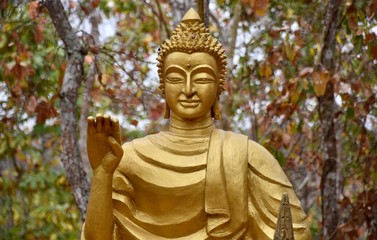 Golden Painted Buddha Statue in Forest, Luang Prabang, Laos