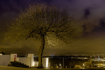 Piękne drzewo z rozłożystą koroną na tle miasta nocą