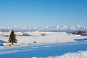Fototapeta na wymiar 北海道の冬の畑作地帯と山並み　十勝岳連峰