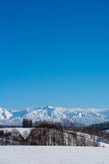 Fototapeta na wymiar 冬の山並みと青空　十勝岳連峰