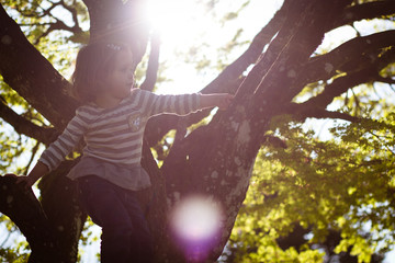 girl in a tree