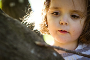 portrait of a young girl in a tree