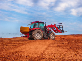 Obraz premium Scenery of Gochang Hakwon Blue Barley Farm, Jeonbuk, South Korea, Asia.