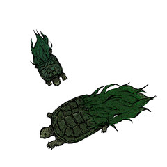 蓑亀イラスト(和紙風テクスチャ)