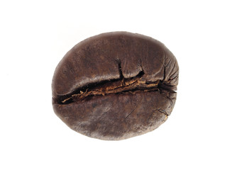 seed of coffee dark roasted