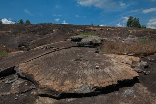 Arabia Mountain, Georgia, USA