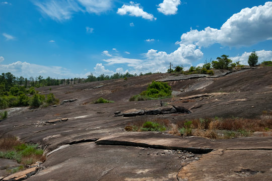 Arabia Mountain, Georgia, USA