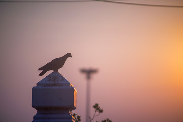 lamp on a background