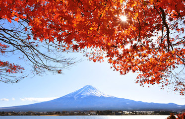 Red Maple Leaves and Sun with Background of Fuji Mountain and Lake Kawaguchi in Japan During Autumn