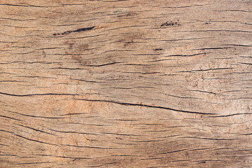 Fototapeta premium Old wood board