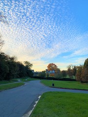 Looking the sky, grass and clouds