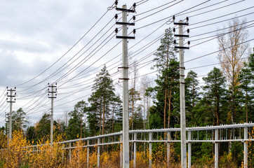 Power line and cable overpass in a forested area.