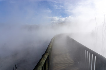 Rotorua has intermittent hot springs throughout the city.
