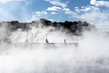 Rotorua has intermittent hot springs throughout the city.