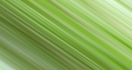 Background color lines