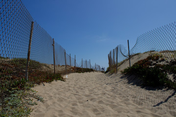 Fence on Abandoned Beach