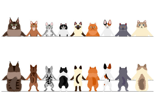 smiling cats border set, front and back