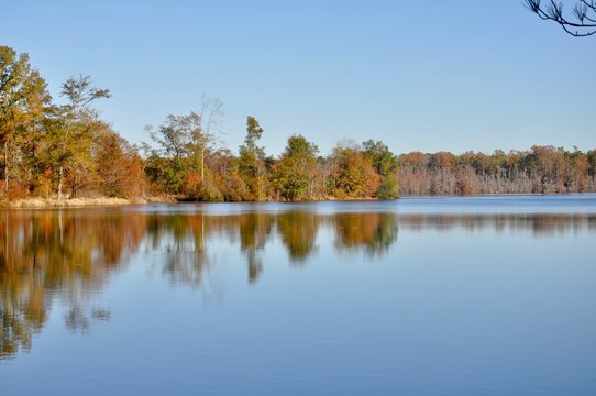 Colorful fall trees reflect in lake 