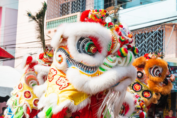 Chinese lion dance for Chinese new year celebrations. 