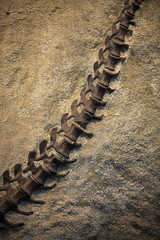 Prehistoric Dinosaur Bones on Display in Large Quarry