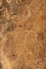 Otherworldly Figure in Historical Native American Cultural Rock Art Petroglyph