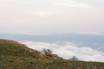 spring landscape on a high bank