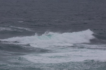 Fototapeta premium Nature scene image of ocean wave at Jeju Island, South Korea for Background or wallpaper use.