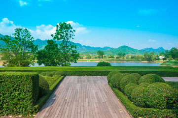 Old hardwood decking or flooring and garden tree in park with the mountain and blue sky.