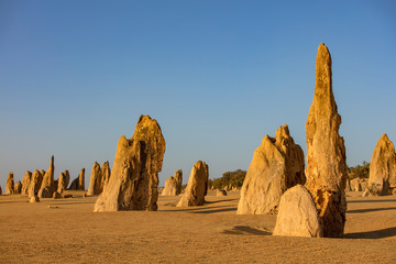 Fototapeta na wymiar Limestone stacks in the late afternoon light in the Pinnacles desert in the Nambung national park located north of Perth in Western Australia