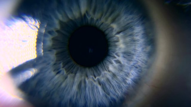 Close-up. Macro Blue Female Human Eye. Pupil Cornea Iris Eyeball Eyelashes. Blink Open Closed