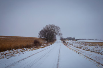 winter landscape with road and sky