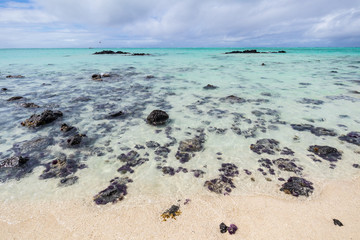 A beautiful beach with crytsal clear water and black rocks in Île aux Cerfs, Mauritius