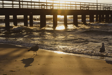 Pier in Ustronie Morskie © RegnumInvictum