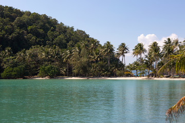 Tropical island beach with coconut palm trees. Sand spit in the sea.