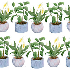 seamless watercolor hand drawn pattern with indoor potted flowers pastel neutral pots urban jungle for nature lovers plant lady peace lily rubber white isolated background green greenery grey interior
