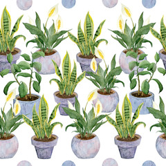 seamless watercolor hand drawn pattern with indoor potted flowers pastel neutral pots urban jungle for nature lovers plant lady peace lily snake rubber mother-in-law tongue white isolated background