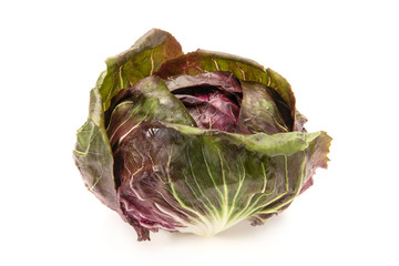 レッドキャベツ