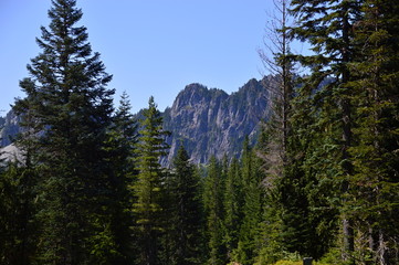 Mount Rainier National Park, Washington