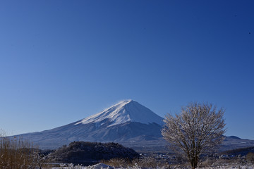 Fototapeta premium Everything was covered with snow as far as the eye could see.